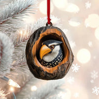 Toco Toucan