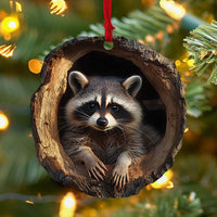 Racoon