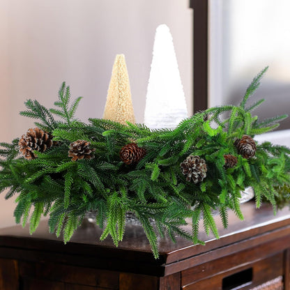 🎄Christmas Norfolk Pine Branches