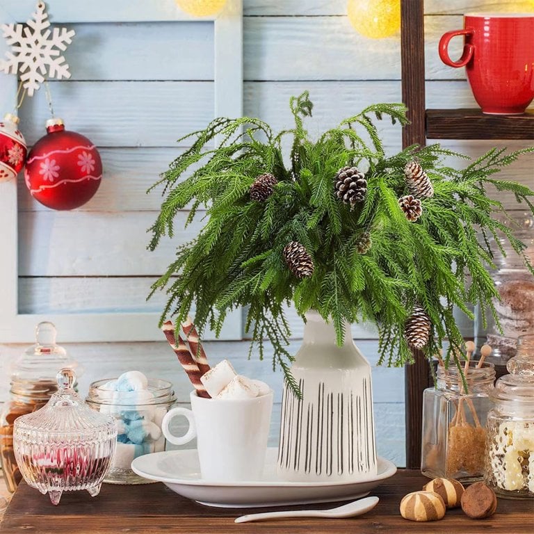 🎄Christmas Norfolk Pine Branches